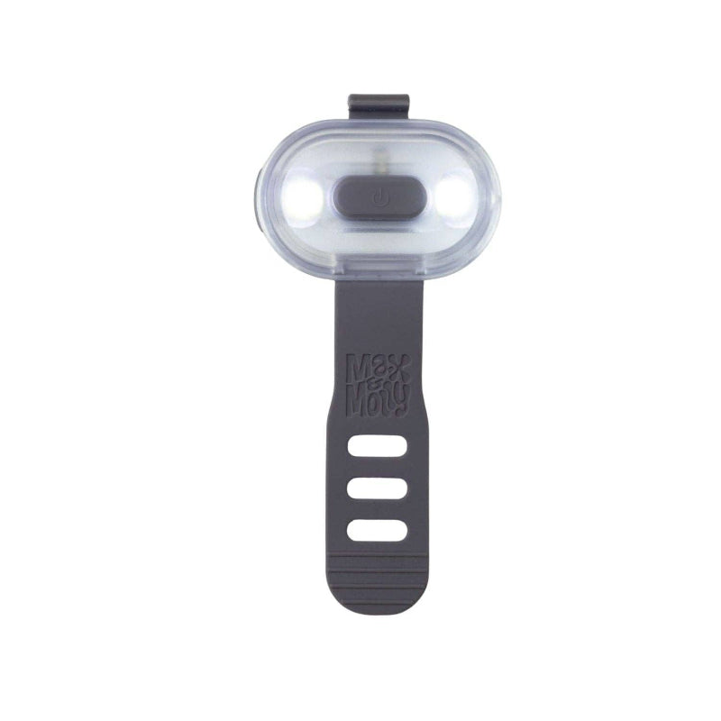 Lumière LED pour balade Nocturne avec son chien - Gris