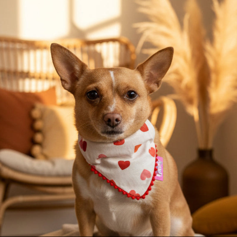 Bandana à Glissière pour chien fait main avec Cœurs et liseré pompons Rouge