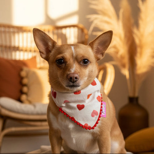 Bandana à Glissière pour chien fait main avec Cœurs et liseré pompons Rouge