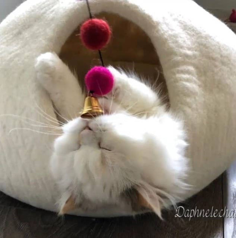 Jouet  pour chat - Canne à pêche en balles de laine feutrée