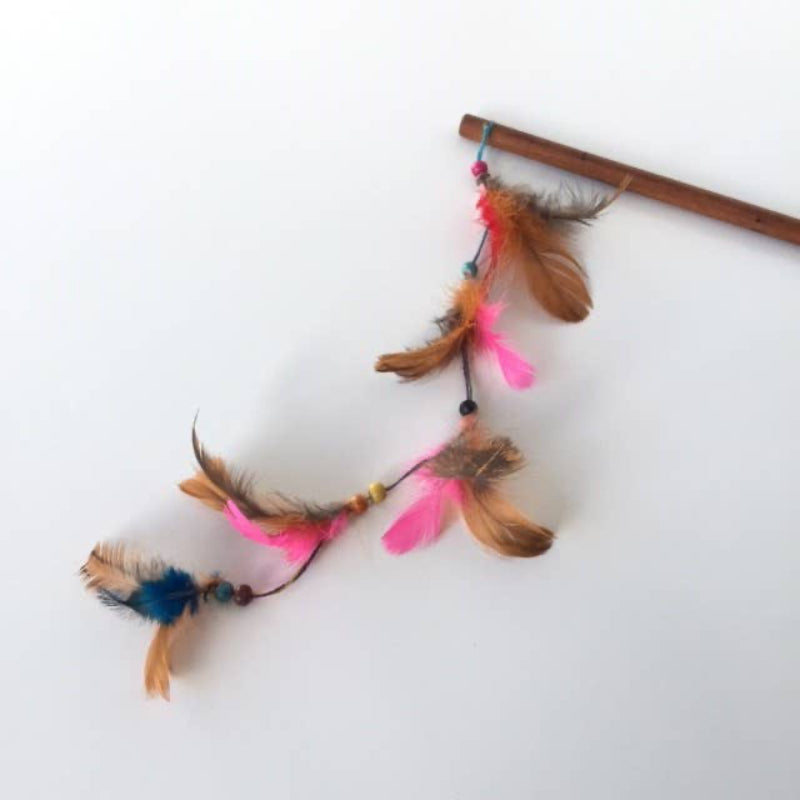 Jouet pour chat - Canne à pêche en plumes colorées