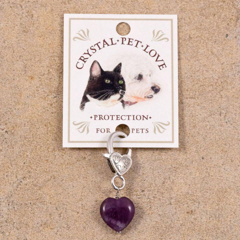 Pendentif pour animal de compagnie en forme de Cœur et en Améthyste