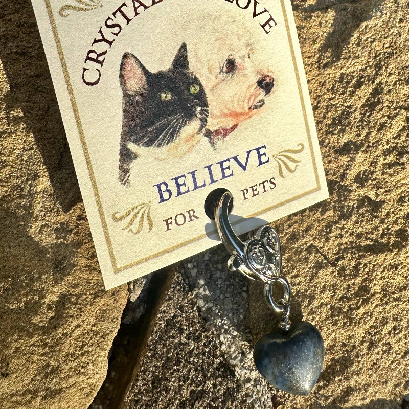 Pendentif pour animal de compagnie en forme de Cœur en Lapis-Lazuli