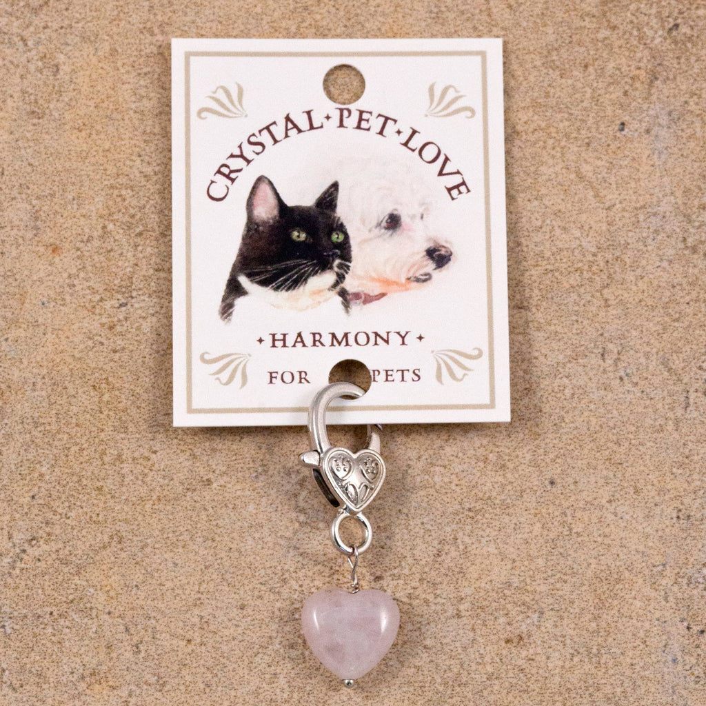 Pendentif pour animal de compagnie en forme de Cœur et en Quartz rose