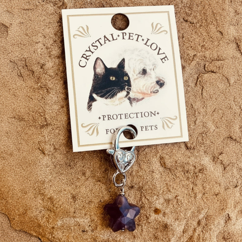 Pendentif pour animal de compagnie en forme d'Etoile en Améthyste
