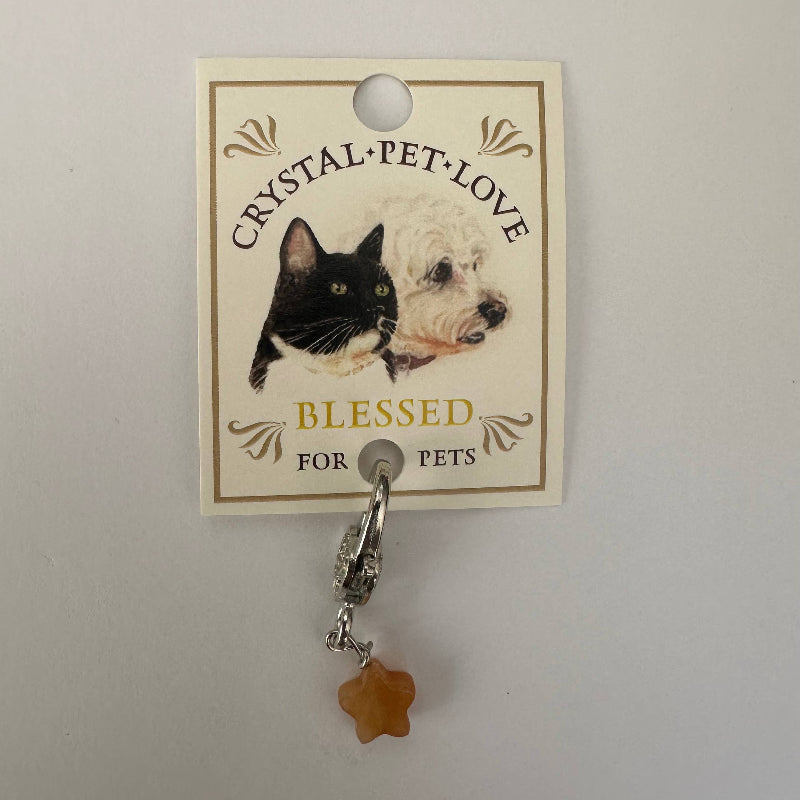 Pendentif pour animal de compagnie en forme d'Etoile et en Citrine