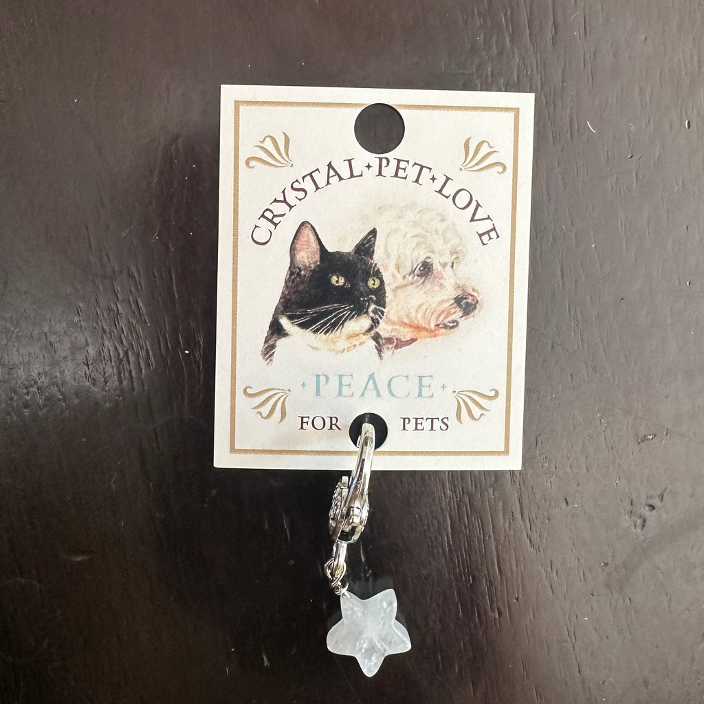 Pendentif pour animal de compagnie en forme d'Étoile et en Quartz clair