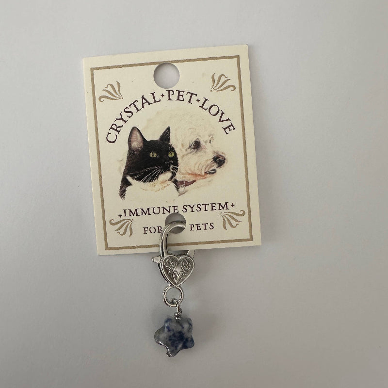 Pendentif pour animal de compagnie en forme d'Etoile et en Sodalite