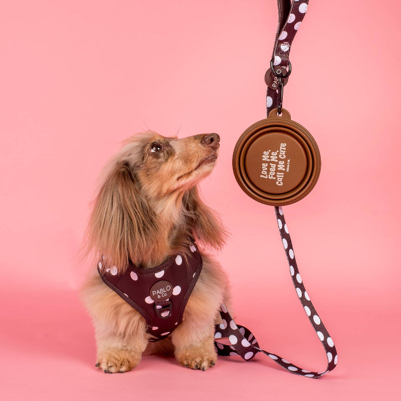 Gamelle d'eau pliable pour chien - Marron Call Me Cute