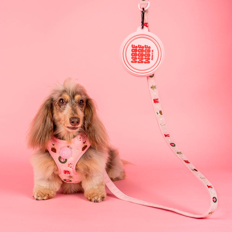Gamelle d'eau pliable pour chien - Rose Woof