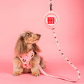 Gamelle d'eau pliable pour chien - Rose Woof