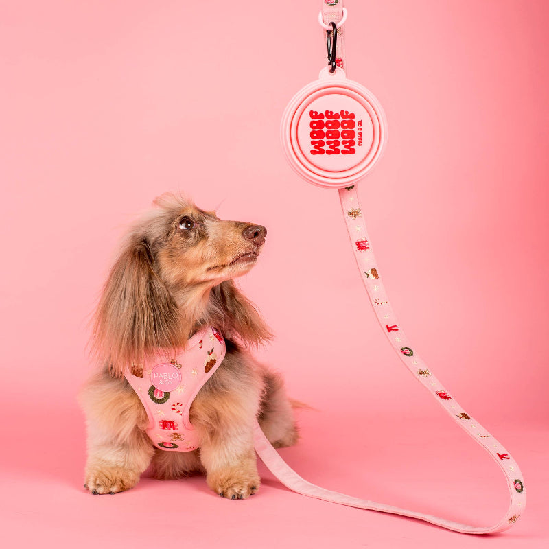 Gamelle d'eau pliable pour chien - Rose Woof