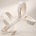 Harnais pour chien en velours - couleur blanc perle
