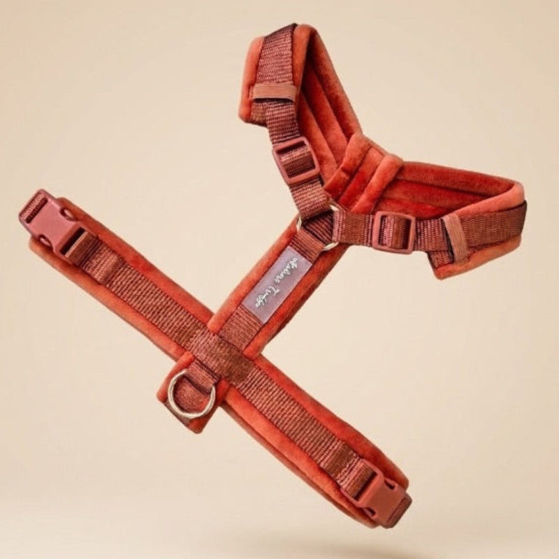 Harnais pour chien en velours - couleur argile terracotta