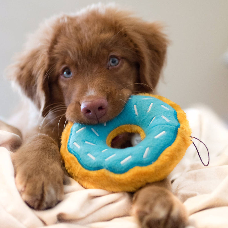 Jouet pour chien - Chiot Junior - Donutz - Myrtille