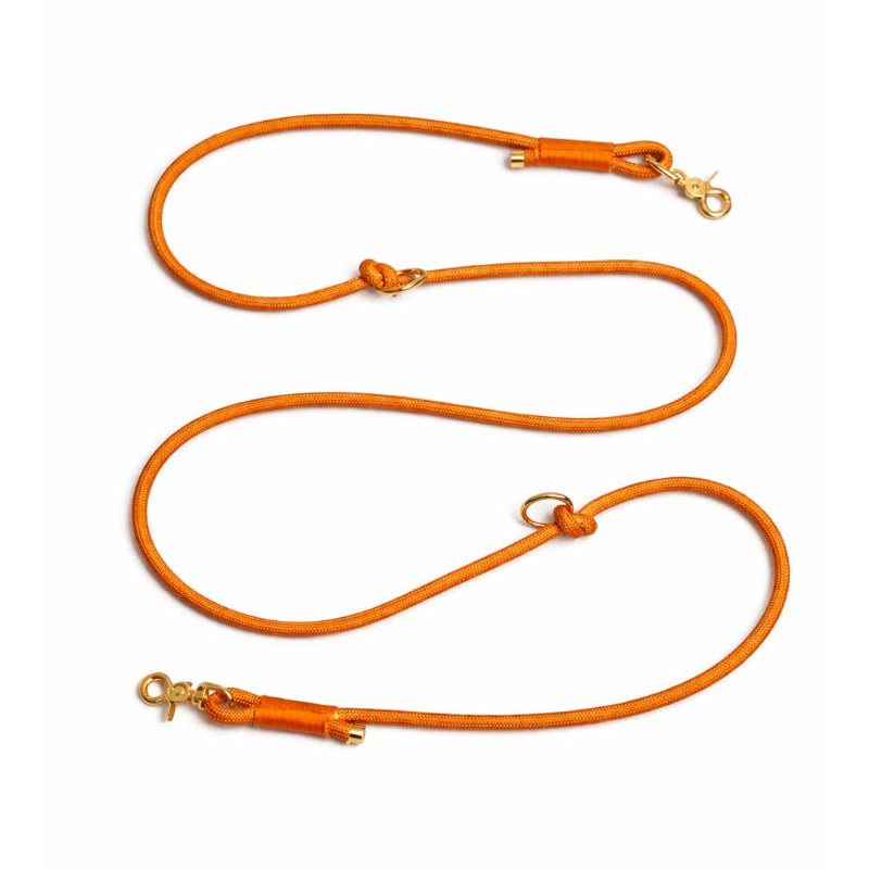 Laisse Multiposition pour chien - couleur argile terracotta