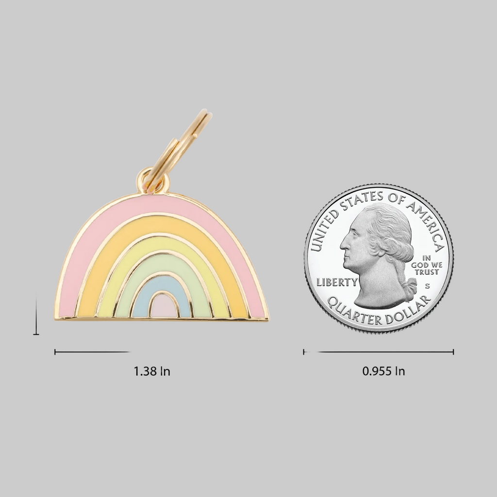 Médaille d'identification pour animal de compagnie Arc-en-Ciel