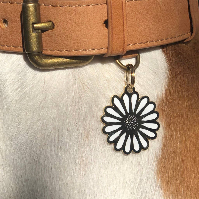Médaille d'identification pour animal en forme de Marguerite