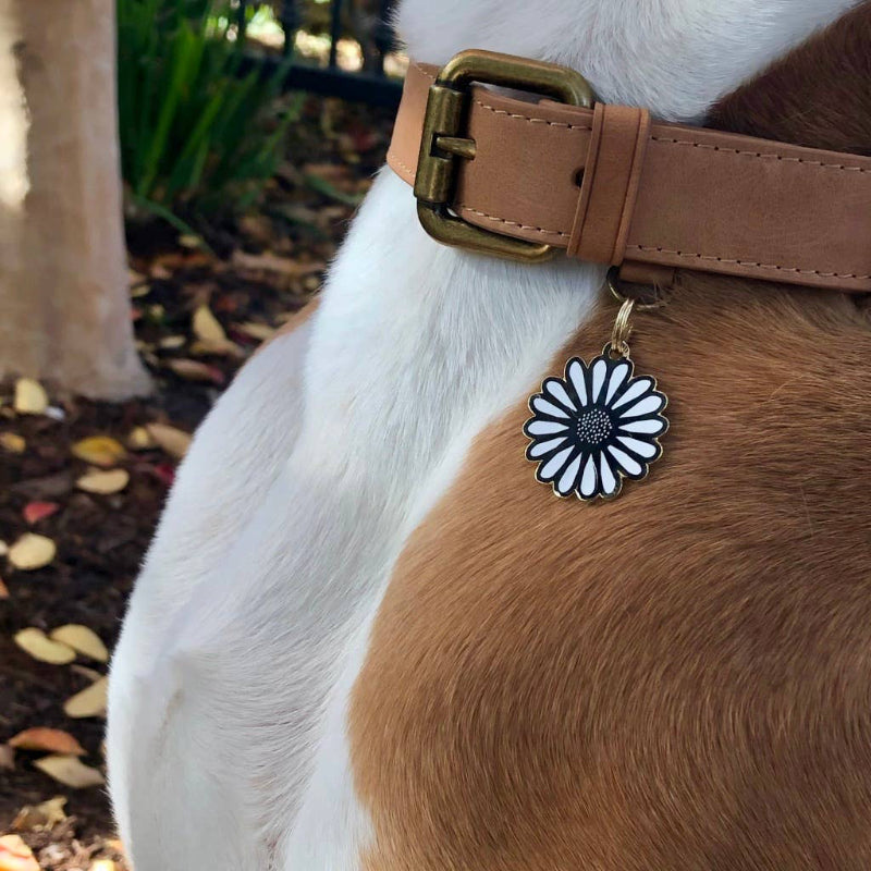 Médaille d'identification pour animal en forme de Marguerite