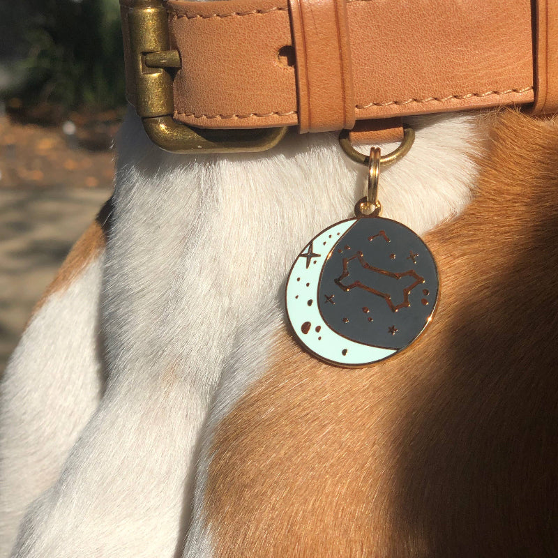 Médaille d’identification pour animaux de compagnie Zodiac