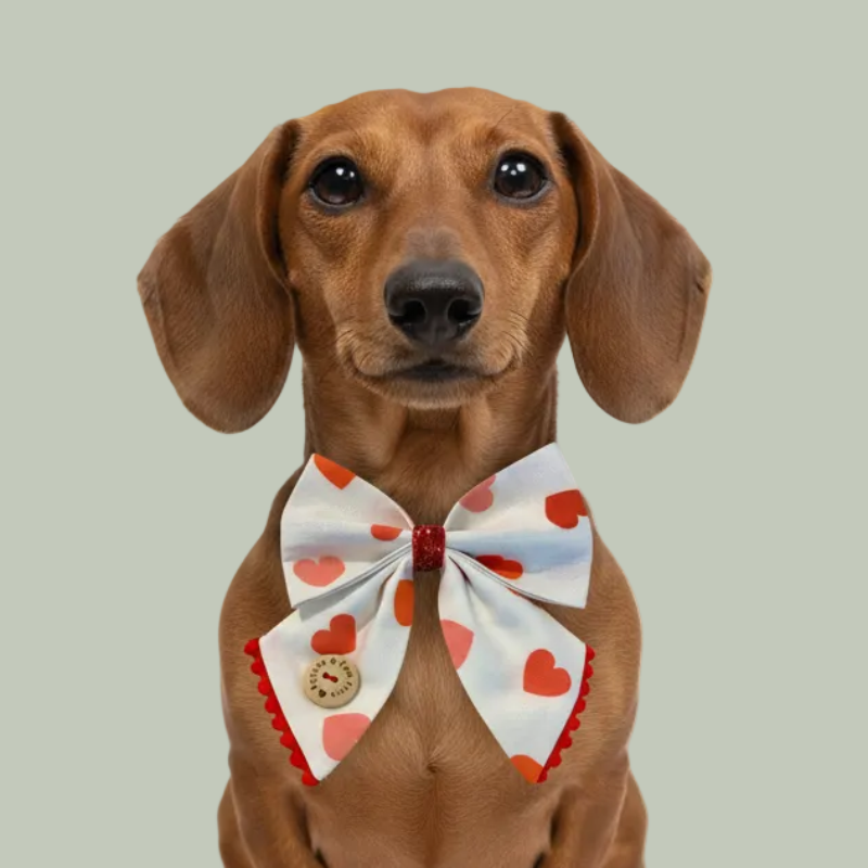 Détail tissu popeline coton nœud marin chien cœurs pailletés bouton cousu – MokAïko&Co