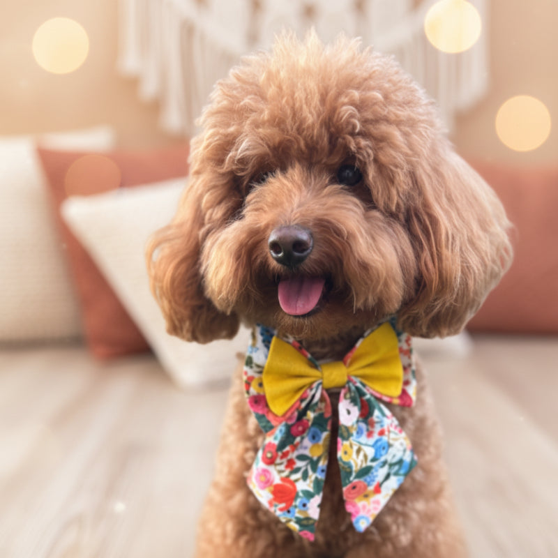 Noeud papillon marin pour chien fait main double nœud Garden Party