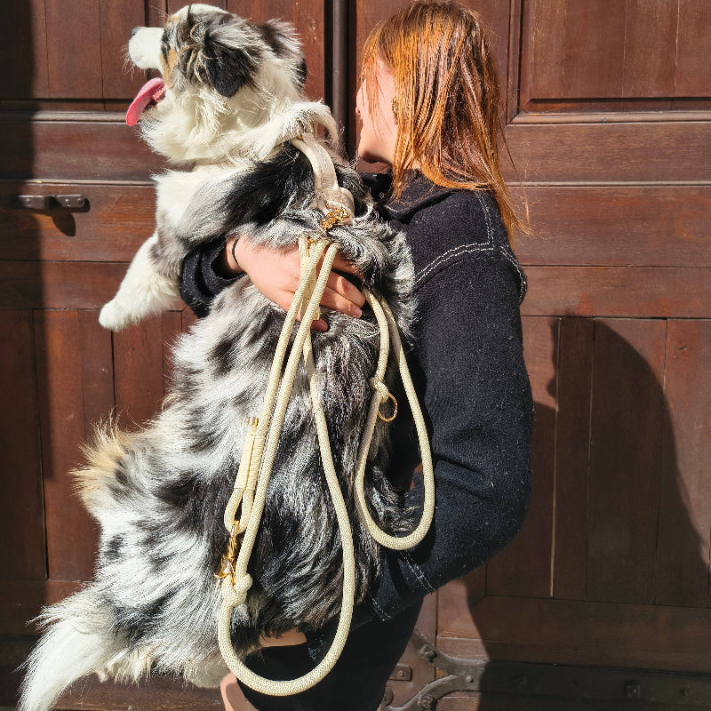 Laisse Multiposition pour chien - couleur blanc perle
