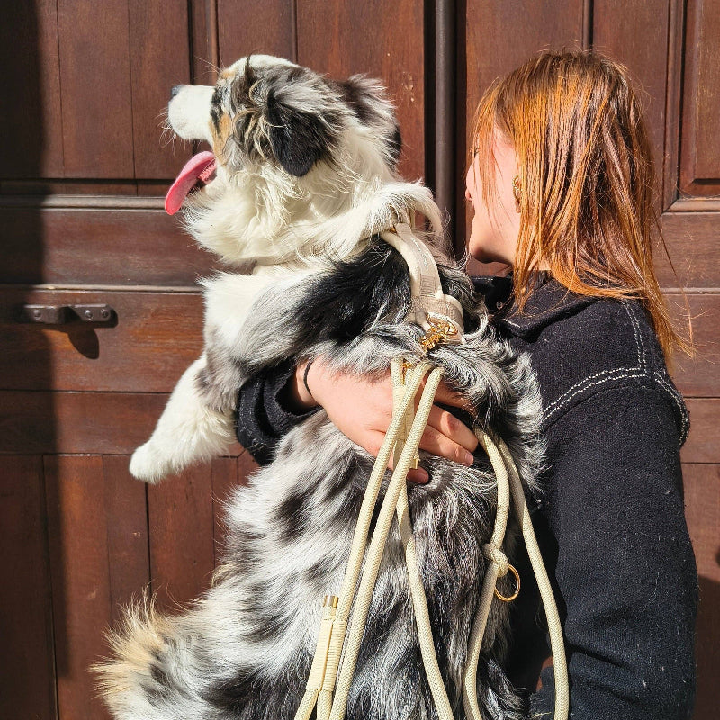 Harnais pour chien en velours - couleur blanc perle