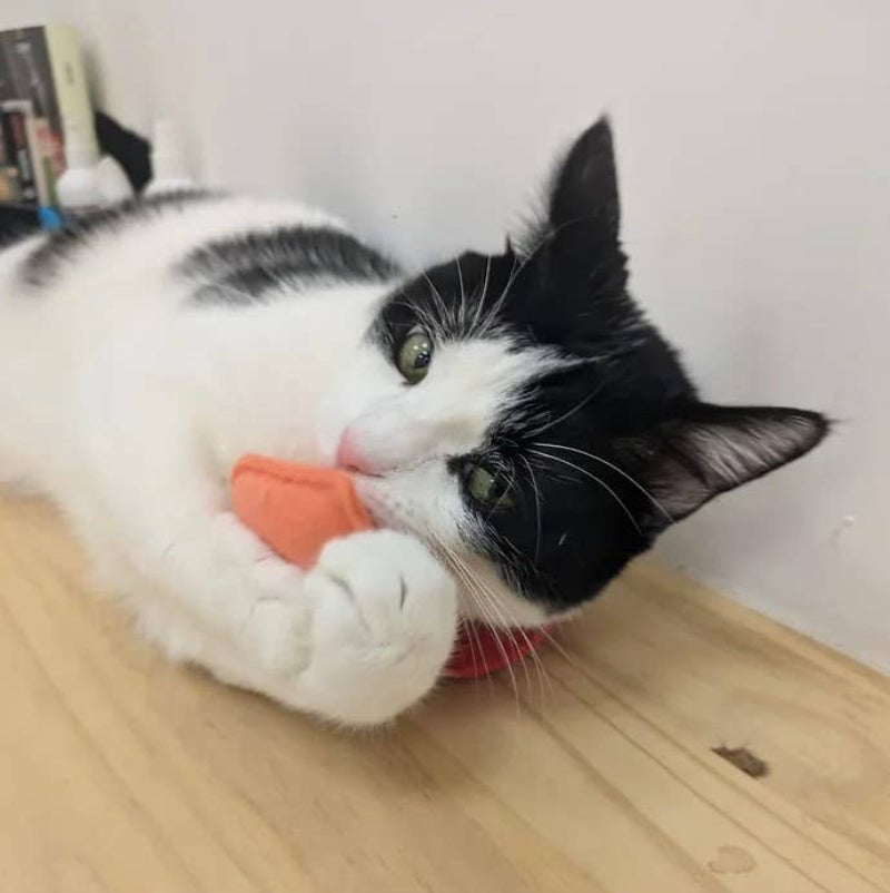 Jouet pour chat - Pizza en Feutrine