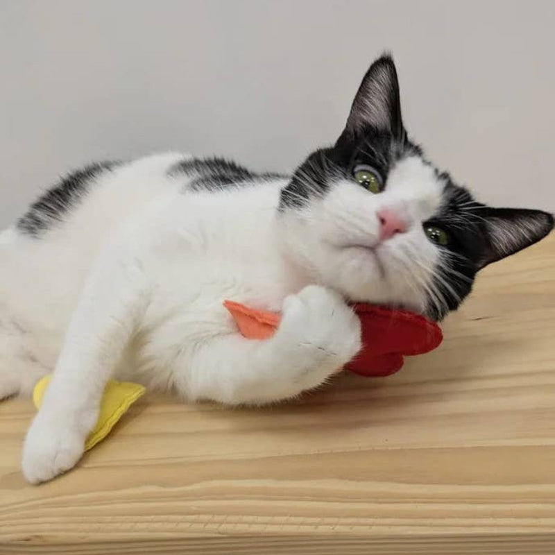 Jouet pour chat - Tarte Abricot en Feutrine
