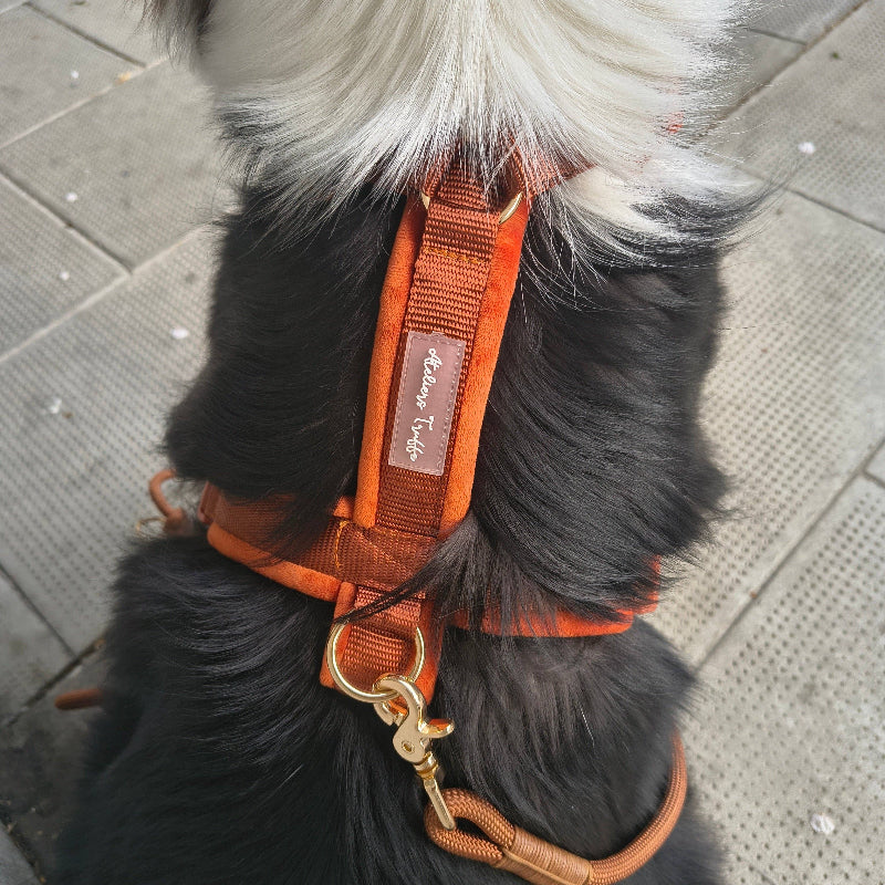 Harnais pour chien en velours - couleur argile terracotta