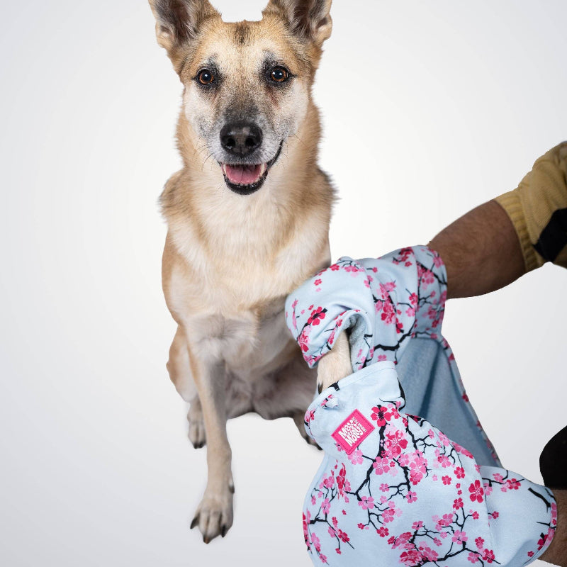 Serviette pour chien ou chat - Original Cherry Bloom