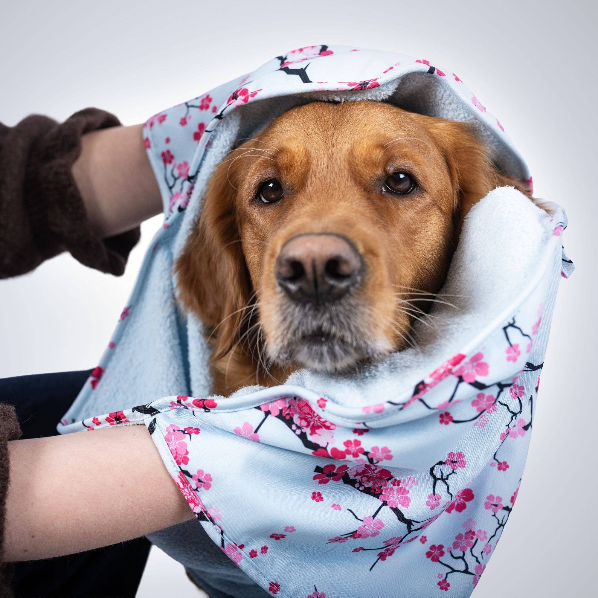 Serviette pour chien ou chat - Original Cherry Bloom