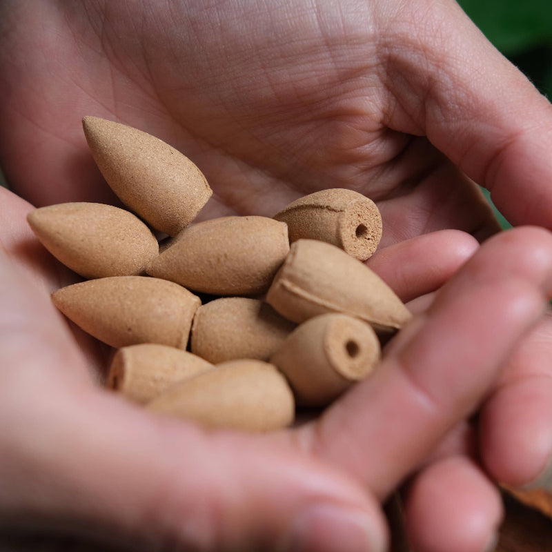 Cônes d'encens naturels à refoulement Parfum de bois de Santal